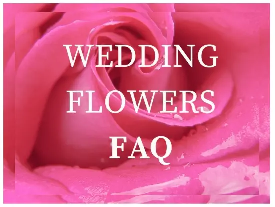 <br />
<b>Warning</b>:  Undefined variable $ImageTitle in <b>D:\Sites\3. Beta\Booker Weddings\Views\Blog\BlogListing.php</b> on line <b>11</b><br />
